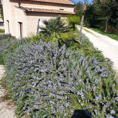 One Bedroom With Shared Pool And Wifi At *