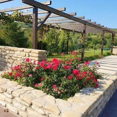 One Bedroom With Shared Pool And Wifi At